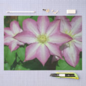 Trio van Clematis Pink en White Spring Vine Tissuepapier (Craft)