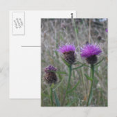 Trio van de paarse dichters briefkaart (Voorkant / Achterkant)