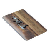 Trio van ganzen magneet (Rechterzijde)