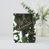 Trio van het Briefkaart Butterflies (Staand voorkant)