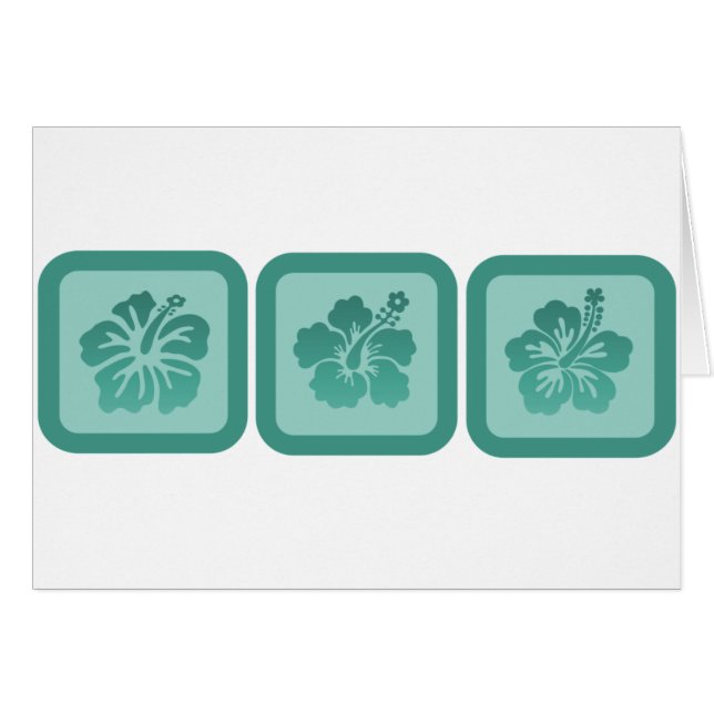 Trio van Hibiscus Flowers (Voorkant Horizontaal)