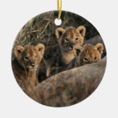 Trio van Lion Cubs met moeder Keramisch Ornament (Voorkant)