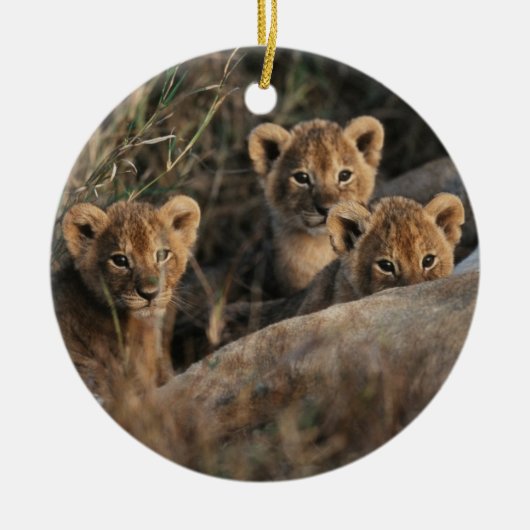 Trio van Lion Cubs met moeder Keramisch Ornament (Voorkant)
