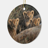 Trio van Lion Cubs met moeder Keramisch Ornament (Links)