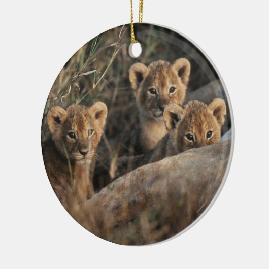 Trio van Lion Cubs met moeder Keramisch Ornament (Links)