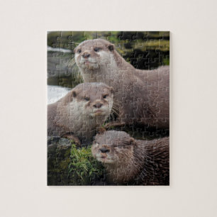 Trio van Otters Legpuzzel