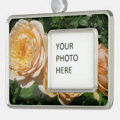 Trio van perzikenvlies verzilverd kader ornament (Links)