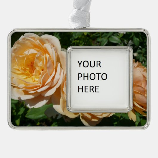 Trio van perzikenvlies verzilverd kader ornament (Voorkant)