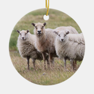 Trio van schapen in IJsland Keramisch Ornament
