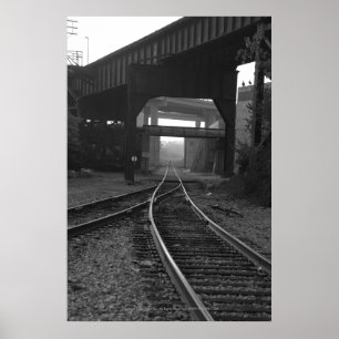 Triple Crossings Poster