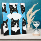 Triple Cute Kat Make Statement Fun Photo Fotoplaat (Zijkant)