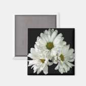 Triple Delight Magnet Magneet (Voorkant / Achterkant)