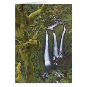 Triple Falls, Columbia River Gorge