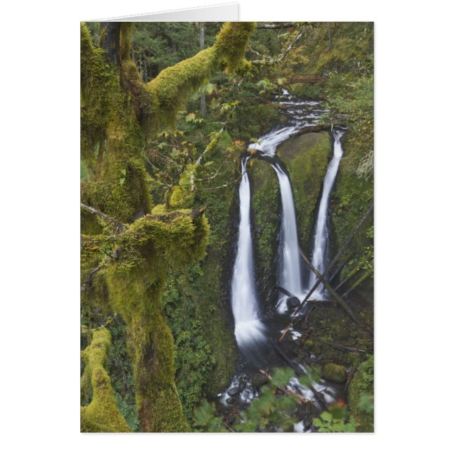 Triple Falls, Columbia River Gorge (Devant)