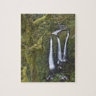 Triple Falls, Columbia River Gorge Legpuzzel