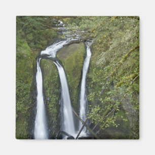 Triple Falls, Columbia River Gorge Magneet