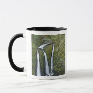Triple Falls, Columbia River Gorge Mok