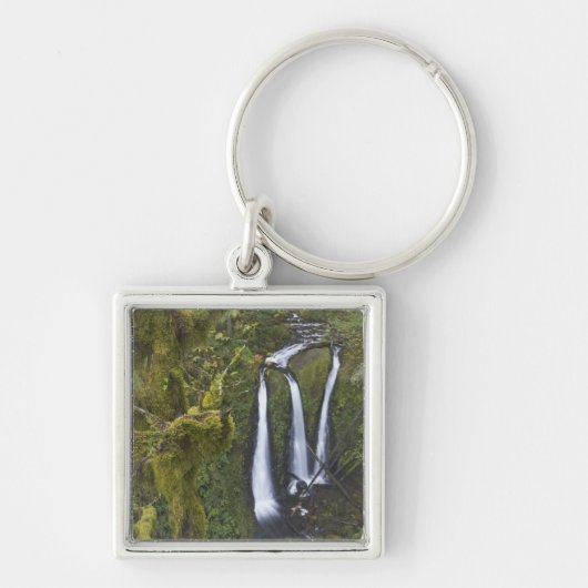 Triple Falls, Columbia River Gorge Sleutelhanger (Voorkant)