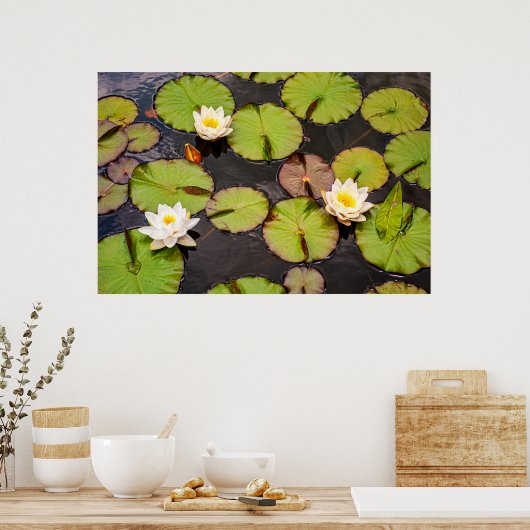 Triple Lotus & Lily Pad Pattern Poster (Cuisine)