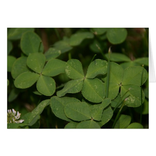 Triple Luck-kaart (Voorkant Horizontaal)