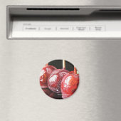 Triple Threat-magneet Magneet (Insitu (Vaatwasser))