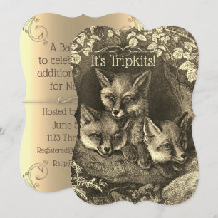 Triplets  baby fox baby shower uitnodiging