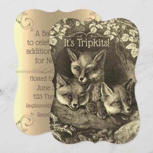 Triplets  baby fox baby shower uitnodiging (Voorkant / Achterkant)