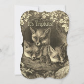 Triplets  baby fox baby shower uitnodiging (Voorkant)