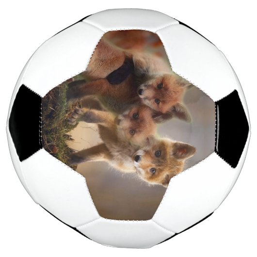 Triplets Foxy (Tourné)