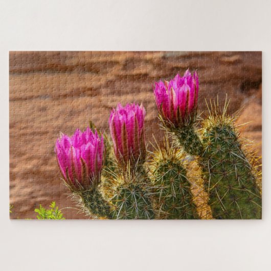 Triplets van aardbeiegelcactus legpuzzel (Horizontaal)