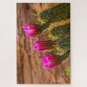 Triplets van aardbeiegelcactus legpuzzel (Verticaal)