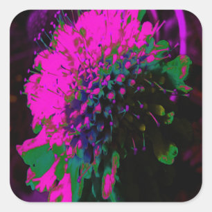 Trippy Abstract Retro Heet Roze en Zwarte Bloem Vierkante Sticker