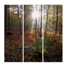 Les Gardiens de l'automne dans les bois