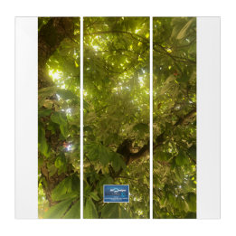 Triptyque Triptych Wh. (Sun Green Tree 1)RFPMDesigns ©️ 2021