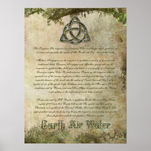 Triquetra Informatica Poster (Voorkant)