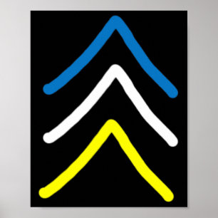 Trisomy 21 Down Syndroom Drie chromosoompijlen Poster