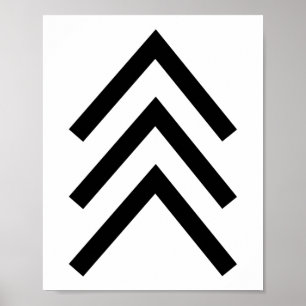 Trisomy 21 Down Syndroom Drie chromosoompijlen Poster