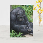 triste chimpanzé obtenir carte bien (Fleur jaune)