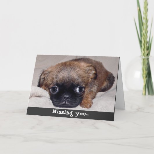 Triste Chiot ! Carte Vous Manquant ! (Devant)