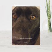 Triste Dod Je Suis Désolé Carte (Dos)