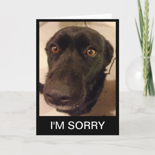 Triste Dod Je Suis Désolé Carte (Devant)