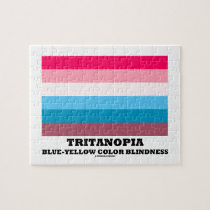 Tritanopia Blue-Yellow Color Blindness Legpuzzel