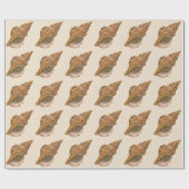 Triton Seashell Shell, Marine Ocean Animal Cadeaupapier (Vlak)