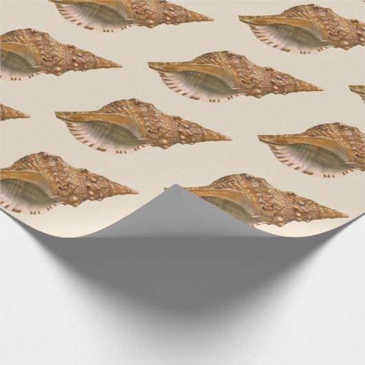 Triton Seashell Shell, Marine Ocean Animal Cadeaupapier (Hoek)