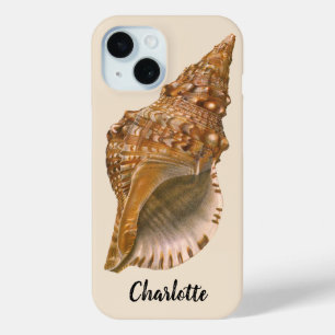 Triton Seashell Shell, Marine Ocean Animal