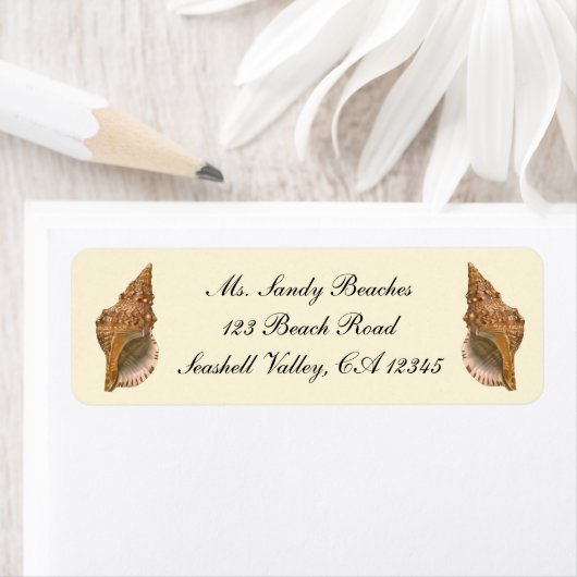 Triton Seashell Shell, Marine Ocean Animal Etiket (Insitu)
