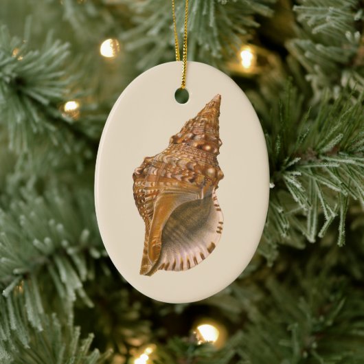  Triton Seashell Shell, Marine Ocean Animal Keramisch Ornament (Boom)