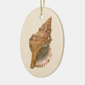  Triton Seashell Shell, Marine Ocean Animal Keramisch Ornament (Links)