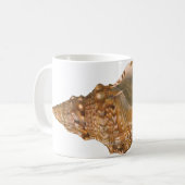  Triton Seashell Shell, Marine Ocean Animal Koffiemok (Voorkant links)