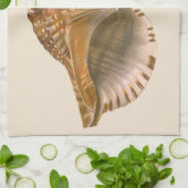 Triton Seashell Shell, Marine Ocean Animal Theedoek (Gevouwen)